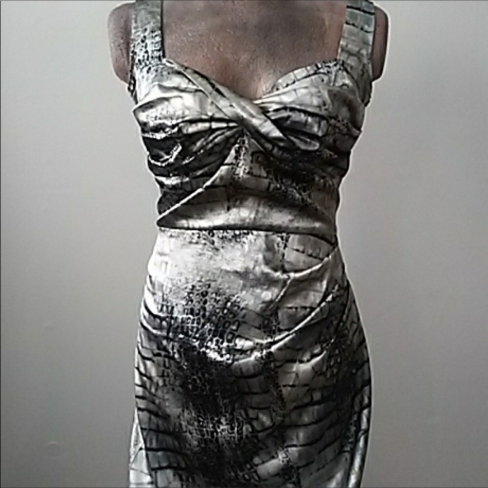 ✨SOLD✨ Stunning Silver Stop Staring Dress✨